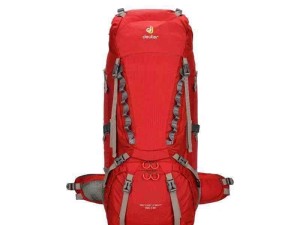 کوله پشتی دیوتر مدل AIRCONTACT 65+15 9869