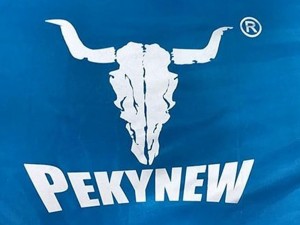 زیرانداز بادی پکینیو Pekynew