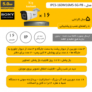 IPCS-16DM16M5-SG-PB