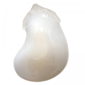 ظرف سرو گلدکیش