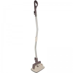 بخارشوی پارس خزر مدل T-Rex