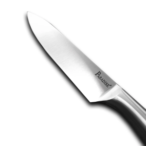 سرویس چاقو آشپزخانه پارادایس مدل HS-1000