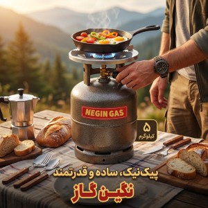 پیک نیک