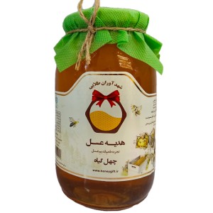 عسل چهل گیاه شهد آوران طلایی 900گرمی