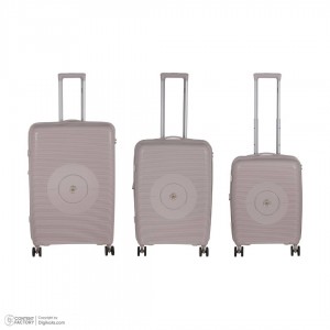 چمدان فوکوس