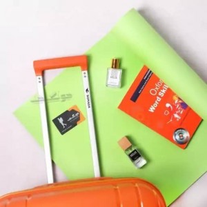 چمدان سونودا