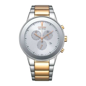 CITIZEN AT2244-84A