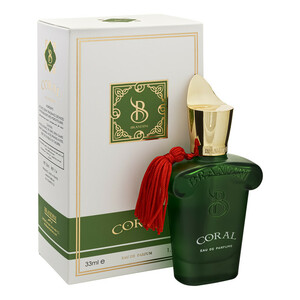 عطر جیبی مردانه برندینی مدل Coral حجم 33 میلی لیتر