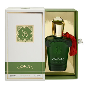 عطر جیبی مردانه برندینی مدل Coral حجم 33 میلی لیتر