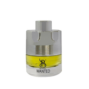 عطر جیبی مردانه برندینی مدل wanted حجم 25 میلی لیتر