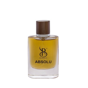 عطر جیبی مردانه برندینی مدل Absolu حجم 25 میلی لیتر