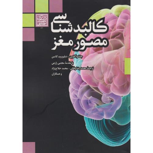 کالبدشناسی مصور مغز
