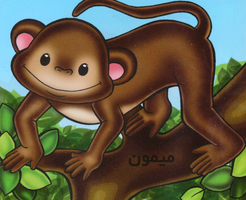 میمون