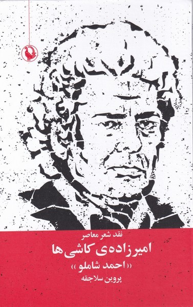 امیرزاده ی کاشی ها