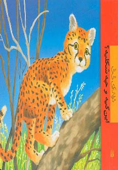 این کیه و چه شکلیه