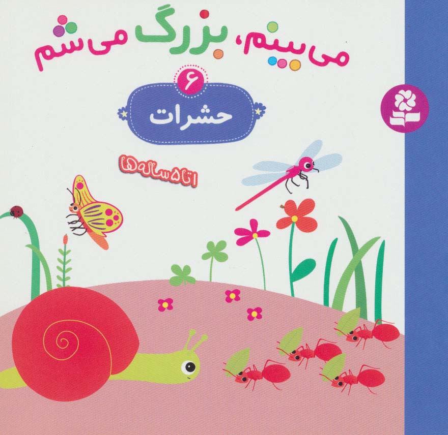 می بینم بزرگ می شم 6