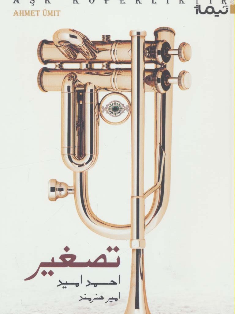 تصغیر