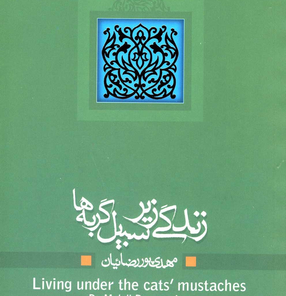 زندگی زیر سبیل گربه ها