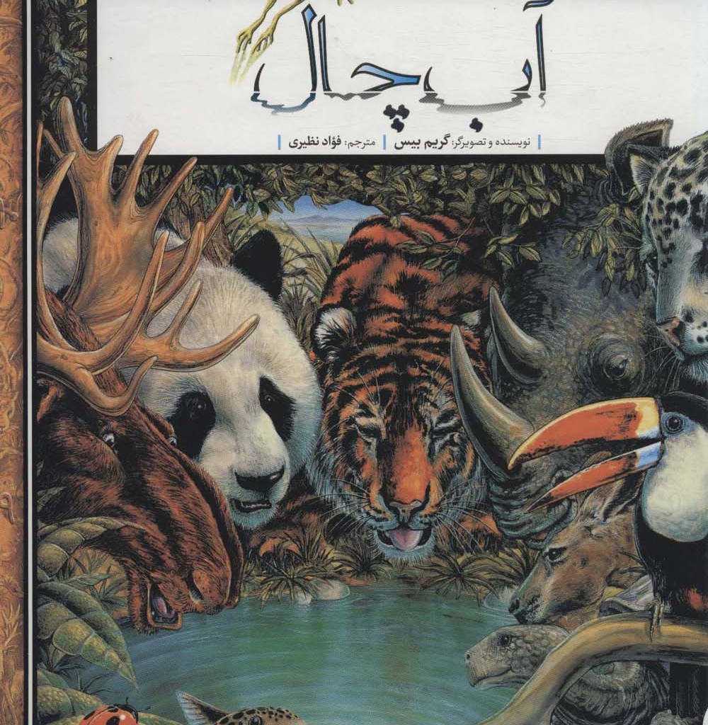 آب چال