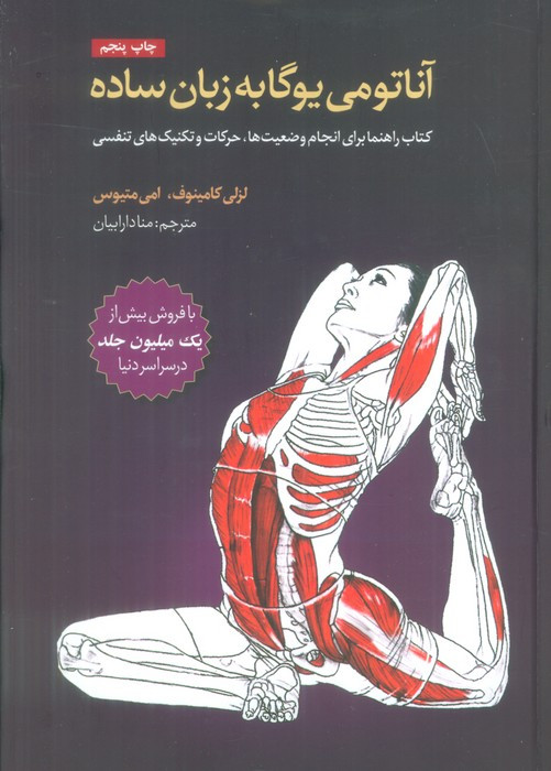 آناتومی یوگا به زبان ساده