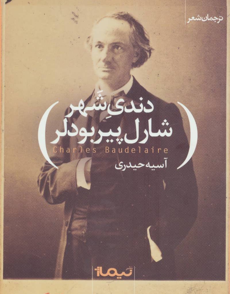 کتاب دندی شهر