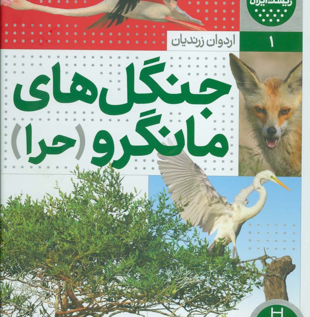 جنگل های مانگرو