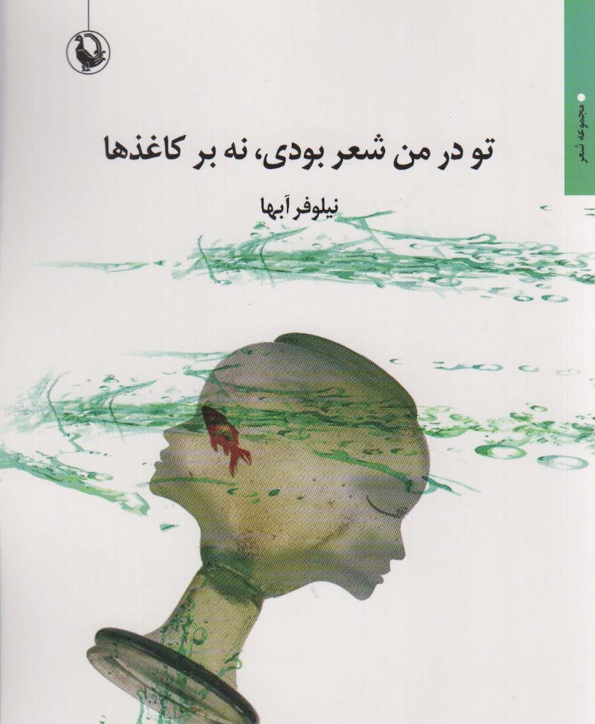 تو در من شعر بودی نه بر کاغذ ها