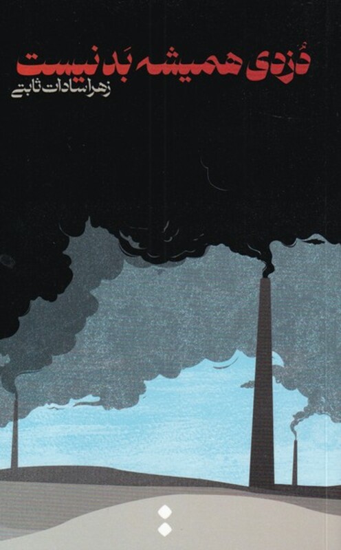 دزدی همیشه بد نیست - زهرا سادات ثابتی