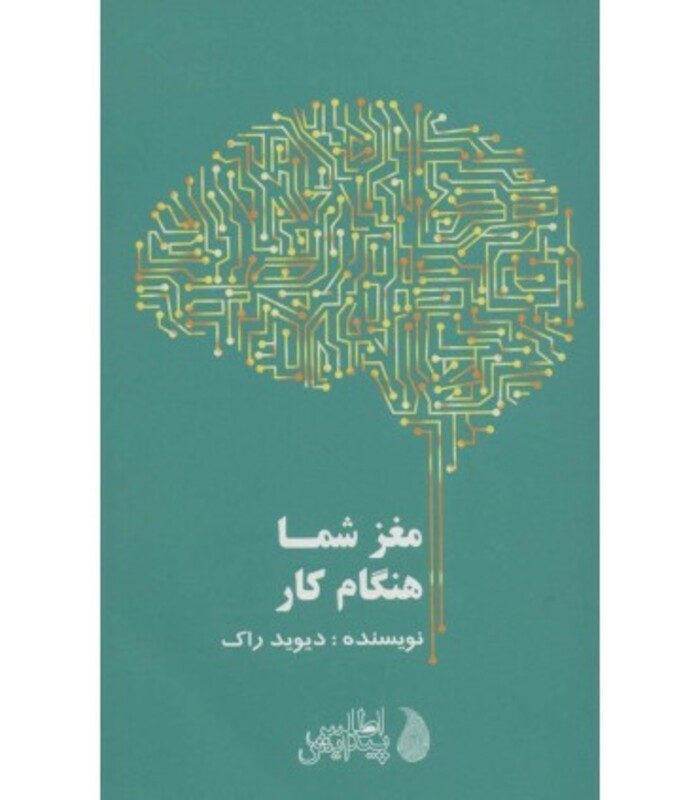 کتاب مغز شما هنگام کار اثر دیوید راک ترجمه ماجده فیض