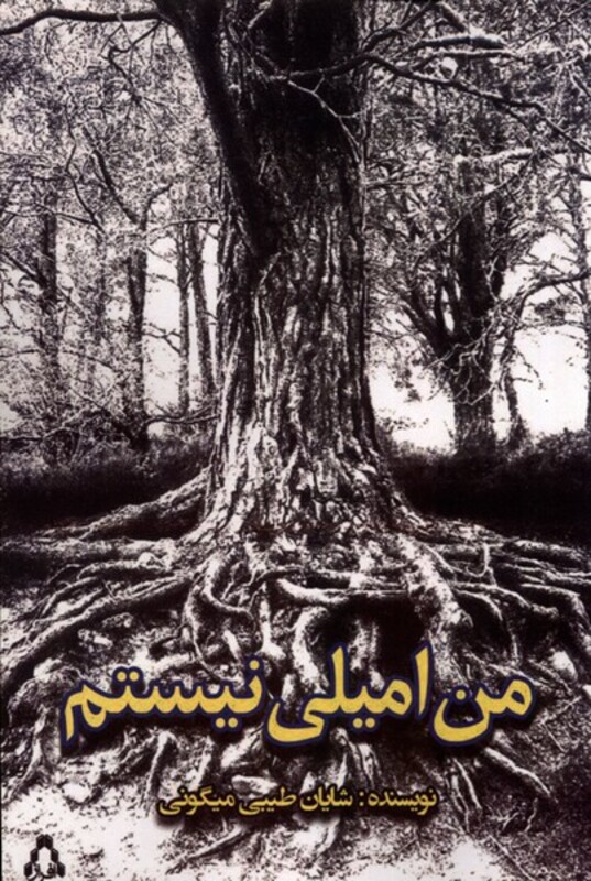 من امیلی نیستم - شایان طیبی میگونی