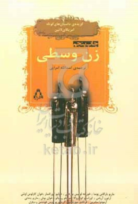 زن وسطی - ماریو بارگاس یوسا و دیگران