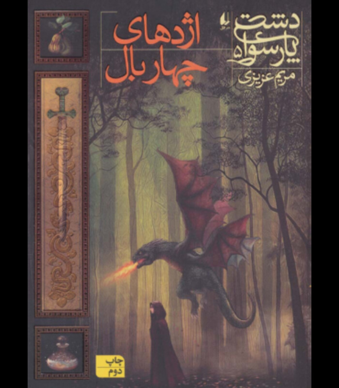 کتاب دشت پارسوا 5 اثر مریم عزیزی