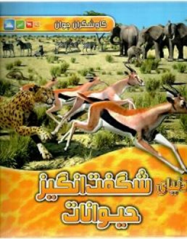 کتاب دنیای شگفت انگیز حیوانات اثر جانسون جینی