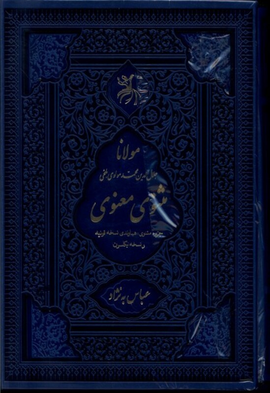 کتاب مثنوی معنوی وزیری باقاب آرزوی دیدار