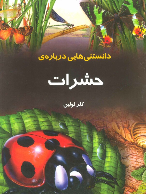 دانستنیهایی درباره حشرات