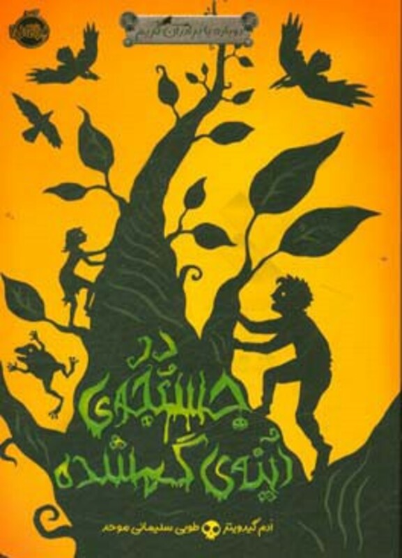 کتاب در جستجوی آینه گمشده اثر ادم گیدویتز