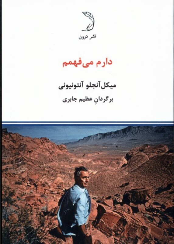 کتاب دارم می فهمم درون اثر میکل آنجلو آنتونیونی