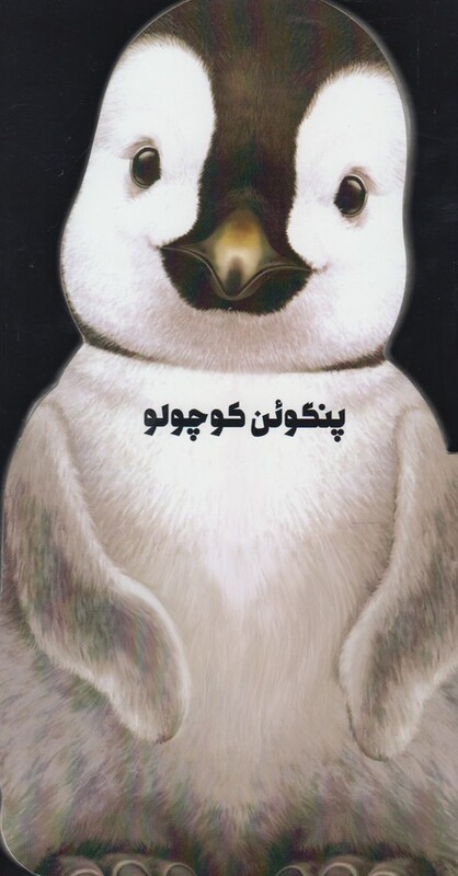 کتاب داستان زندگی پنگوئن کوچولو اثر جیووانی کاویزل