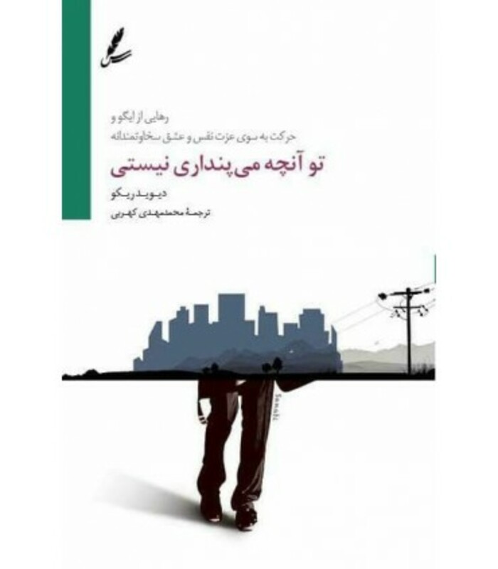 کتاب تو آنچه می پنداری نیستی اثر دیوید ریکو