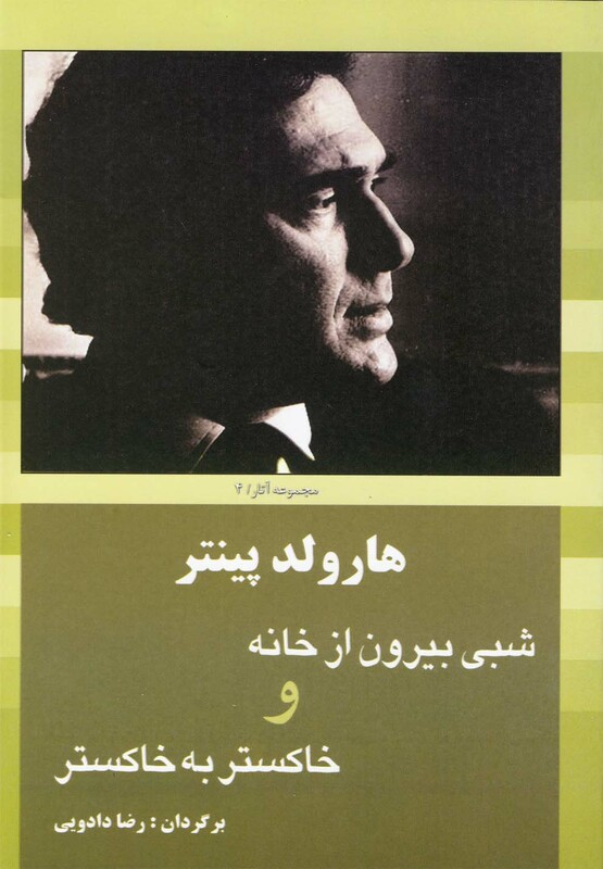 هارولد پینتر شبی بیرون از خانه