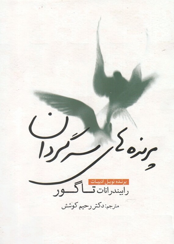 پرنده های سرگردان