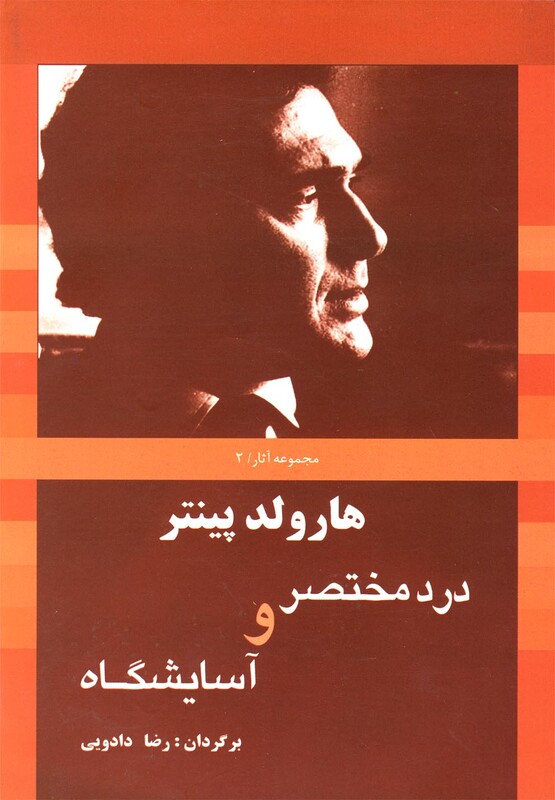 هارولد پینتر 2 درد مختصر و آسایشگاه