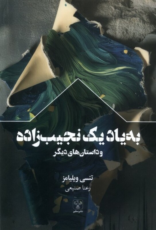 کتاب به یاد یک نجیب زاده و داستان های دیگر سفیر