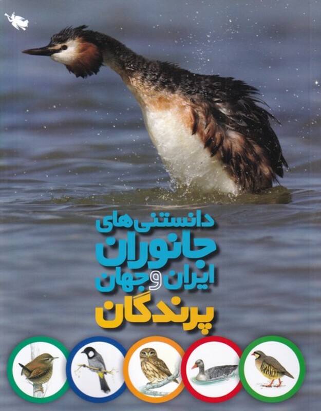 دانستنی های جانوران ایران و جهان پرندگان