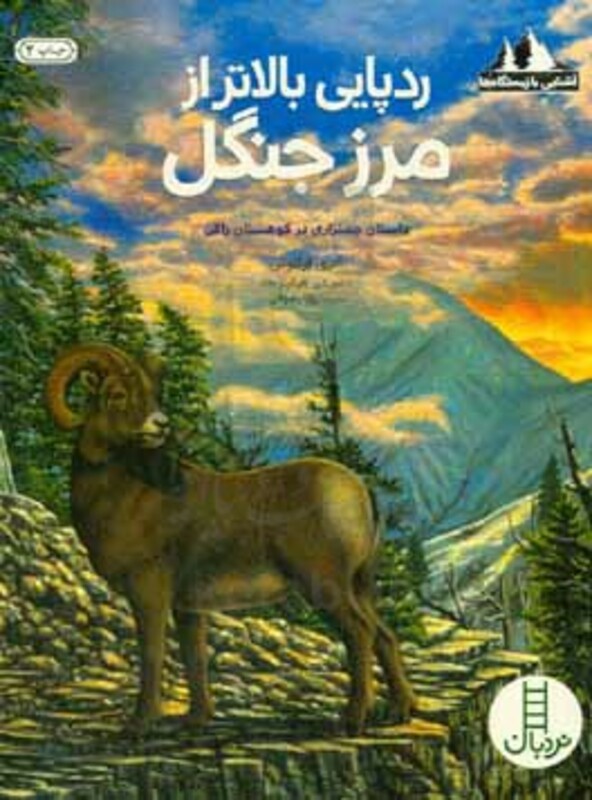 ردپایی بالاتر از مرز جنگل