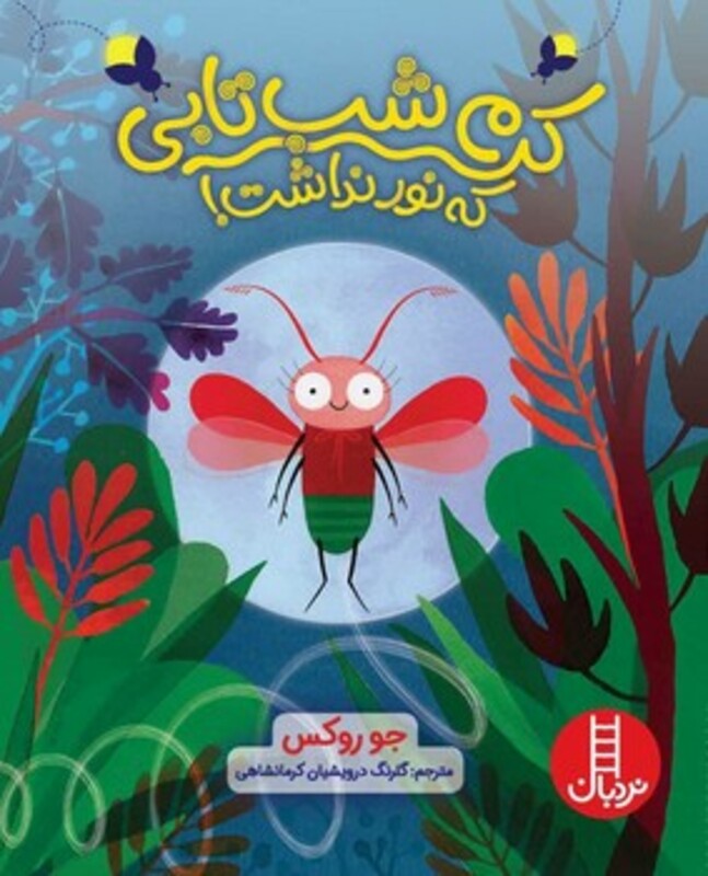 کرم شب تابی که نور نداشت