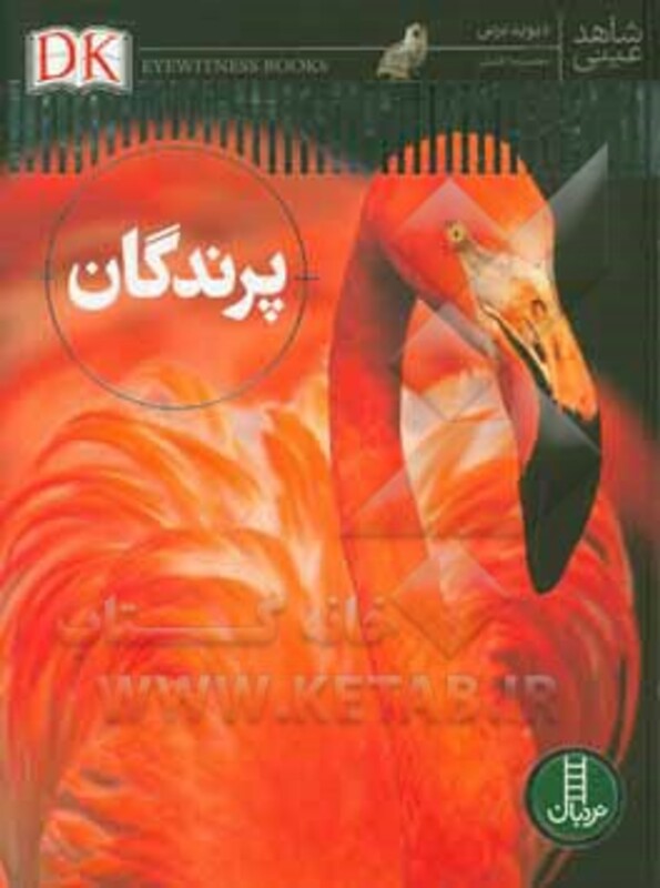 پرندگان شاهد عینی