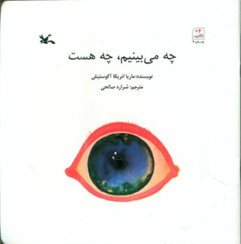 کتاب چه می بینم چه هست اثر ماریا انریکا آگوستینلی