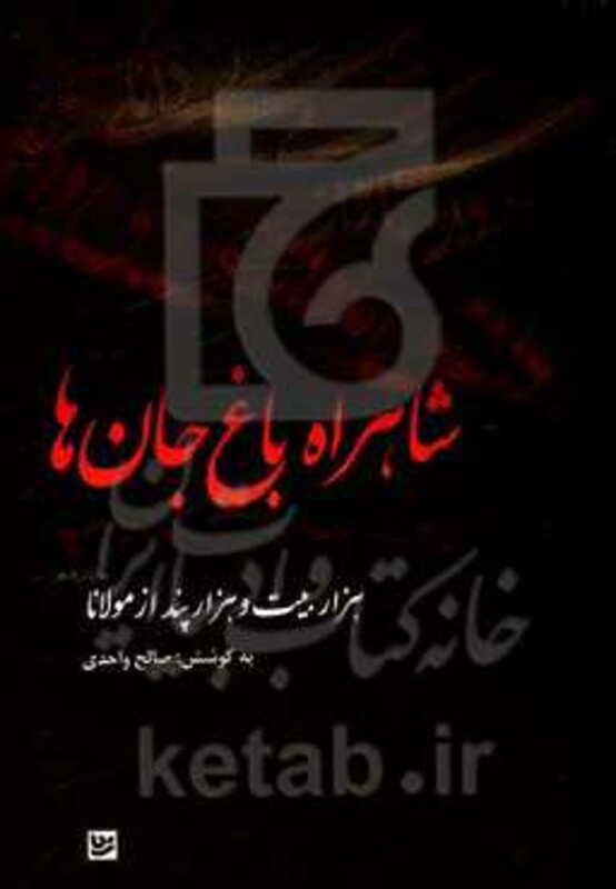 شاهراه باغ جان ها