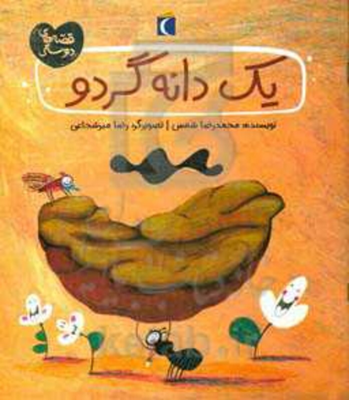 کتاب یک دانه گردو اثر محمدرضا شمس